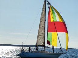 AUTUNNALE TARANTO 2026 - Foto